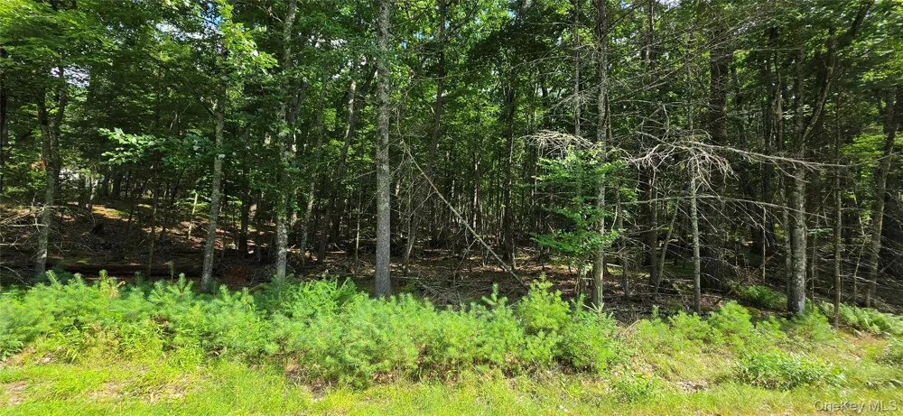 Lot 34.25 Lakeview Drive Road Highland Lake, NY 12743