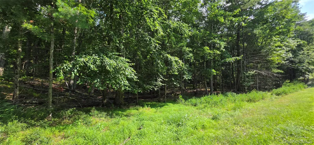 Lot 34.25 Lakeview Drive Road Highland Lake, NY 12743