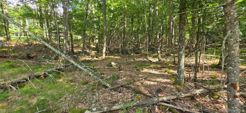 Lot 34.25 Lakeview Drive Road Highland Lake, NY 12743