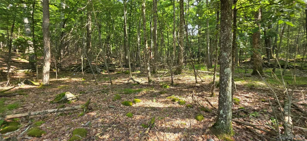 Lot 34.25 Lakeview Drive Road Highland Lake, NY 12743