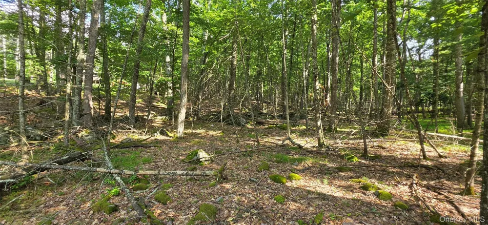 Lot 34.25 Lakeview Drive Road Highland Lake, NY 12743