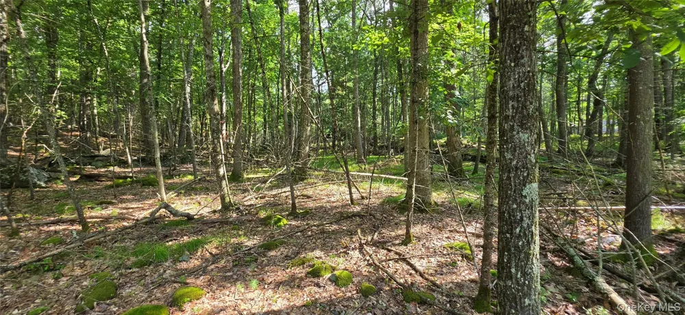 Lot 34.25 Lakeview Drive Road Highland Lake, NY 12743