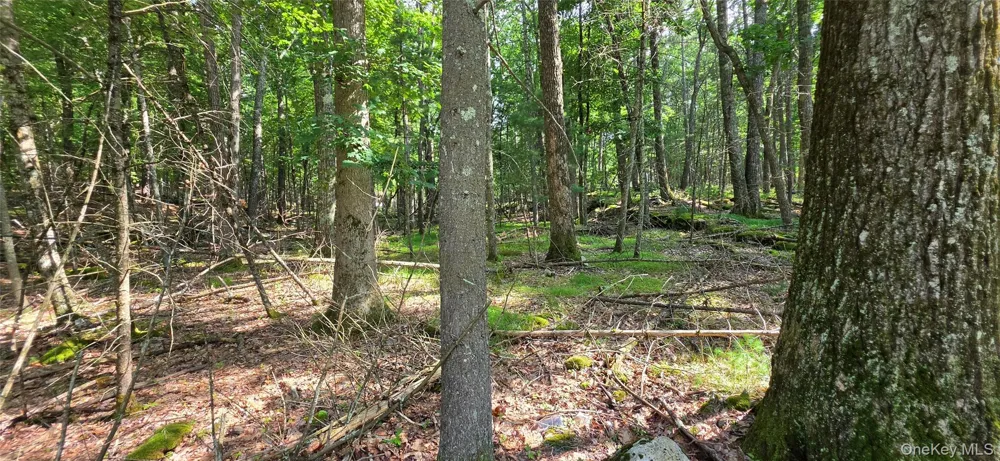 Lot 34.25 Lakeview Drive Road Highland Lake, NY 12743