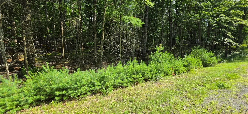 Lot 34.25 Lakeview Drive Road Highland Lake, NY 12743