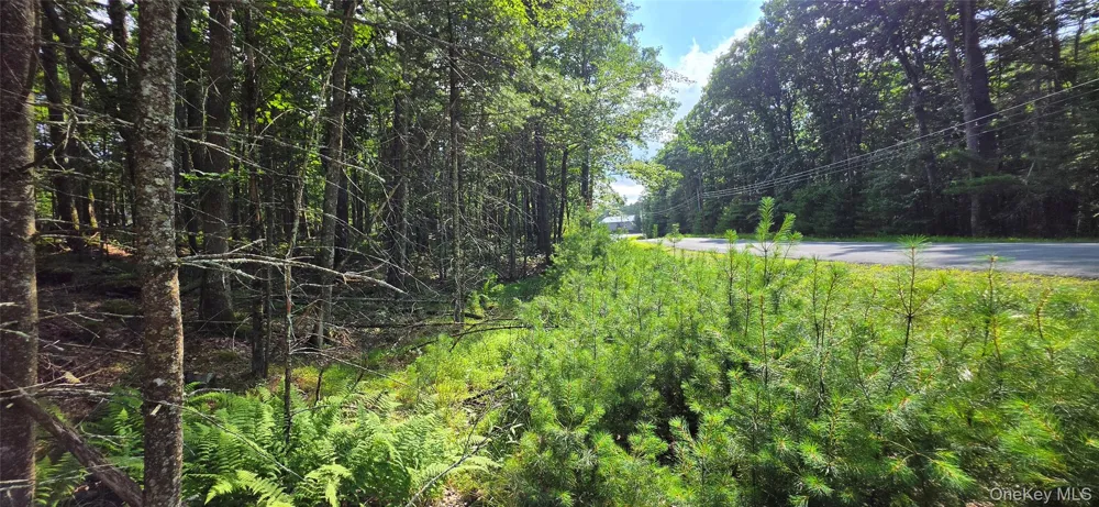 Lot 34.25 Lakeview Drive Road Highland Lake, NY 12743