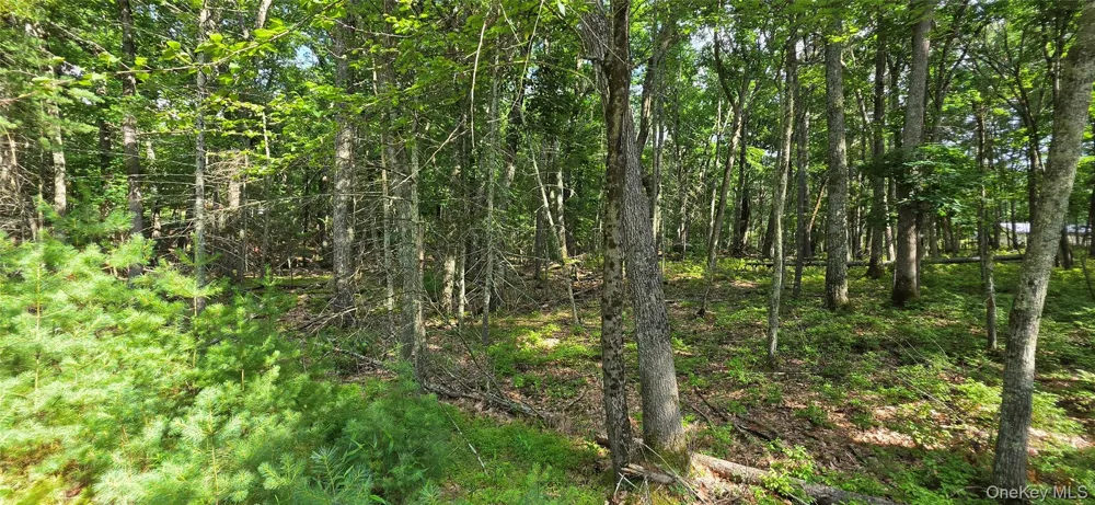 Lot 34.25 Lakeview Drive Road Highland Lake, NY 12743