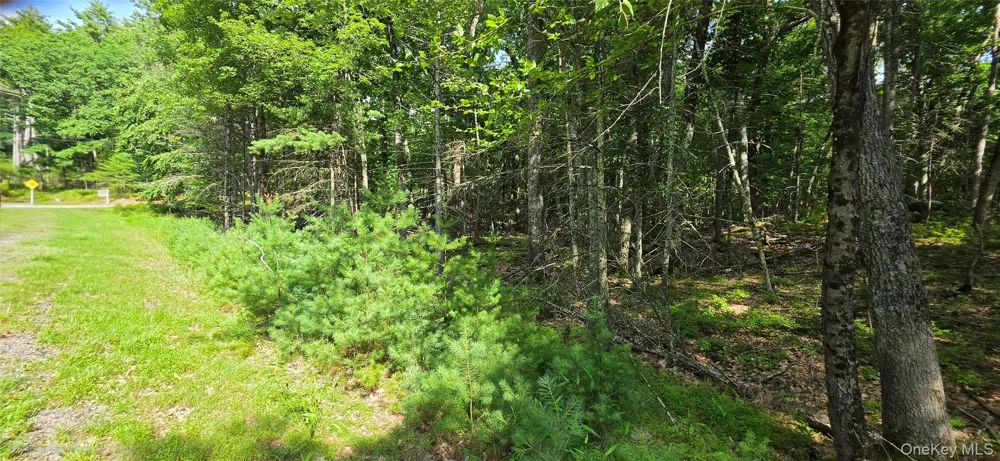 Lot 34.25 Lakeview Drive Road Highland Lake, NY 12743