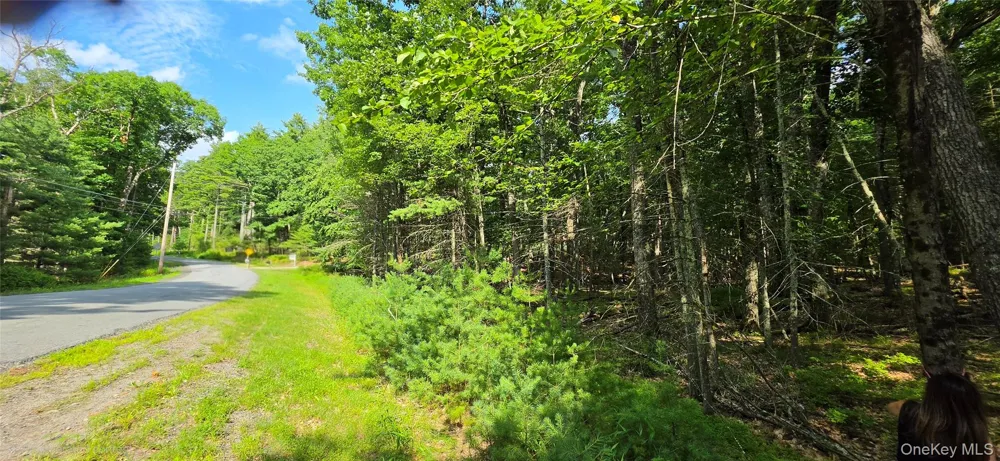 Lot 34.25 Lakeview Drive Road Highland Lake, NY 12743