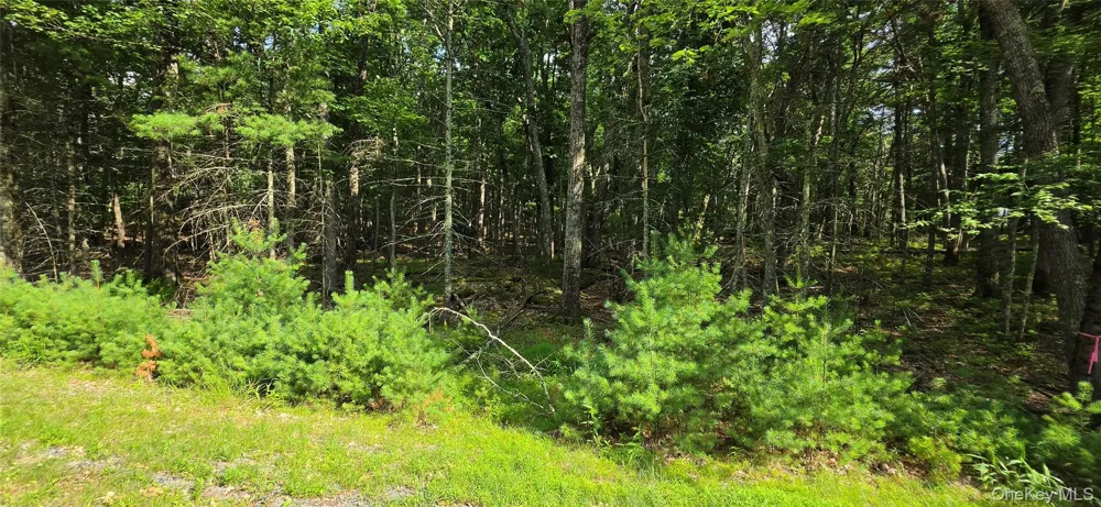 Lot 34.25 Lakeview Drive Road Highland Lake, NY 12743