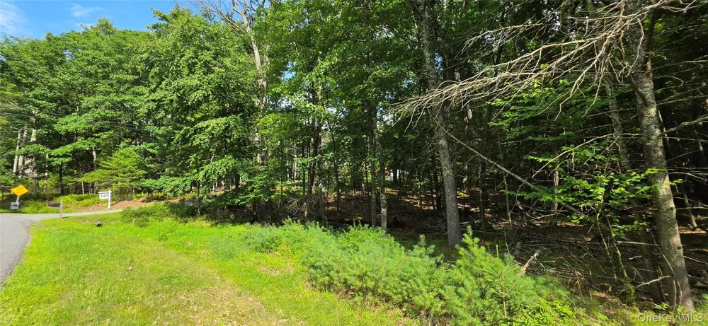 Lot 34.25 Lakeview Drive Road Highland Lake, NY 12743