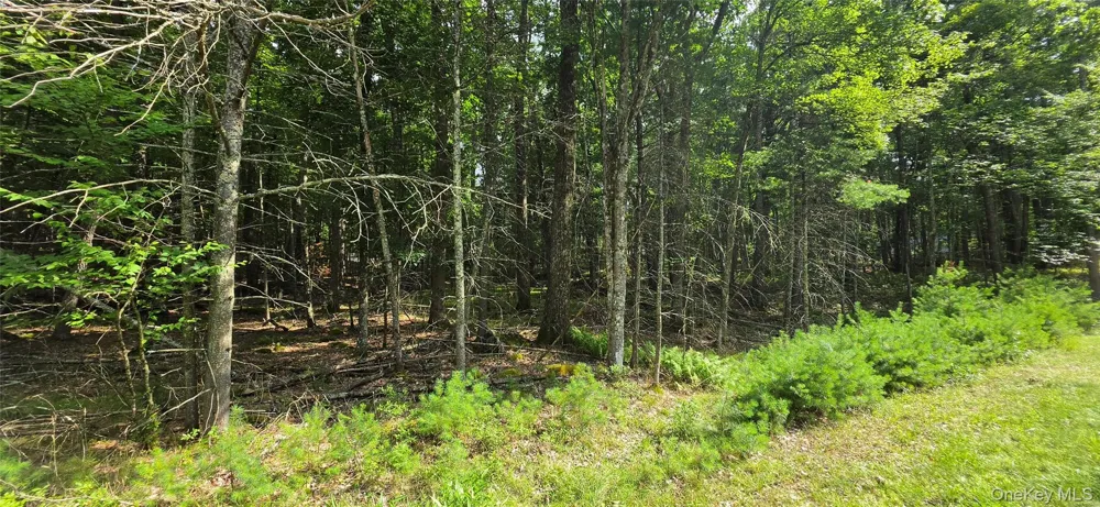 Lot 34.25 Lakeview Drive Road Highland Lake, NY 12743