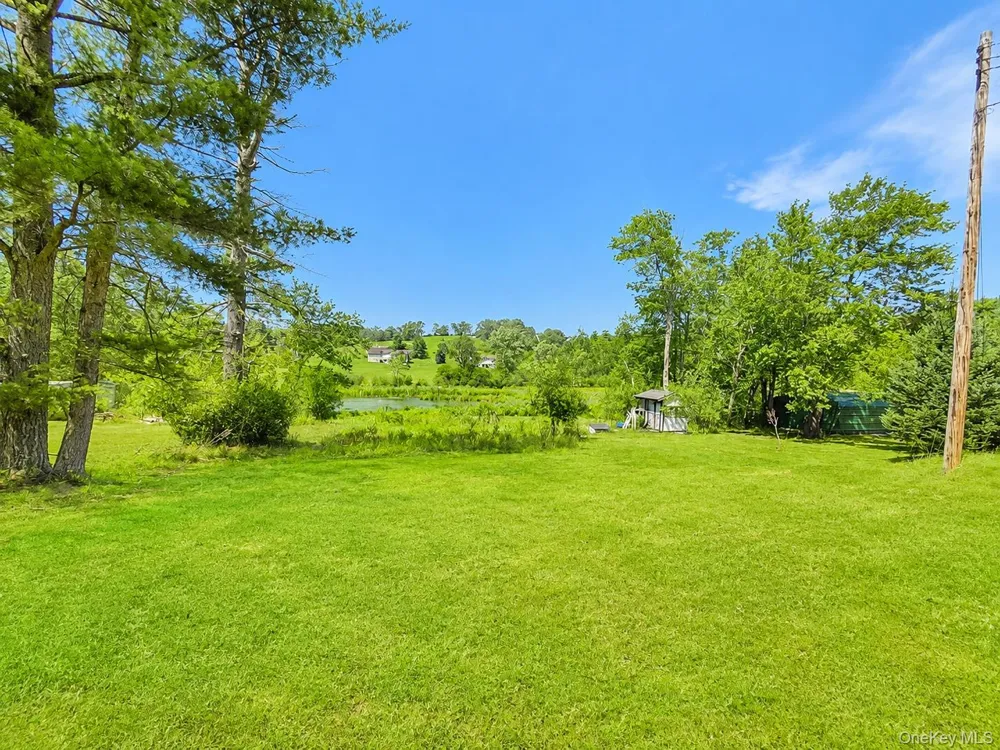 601 Briscoe Road Swan Lake, NY 12783