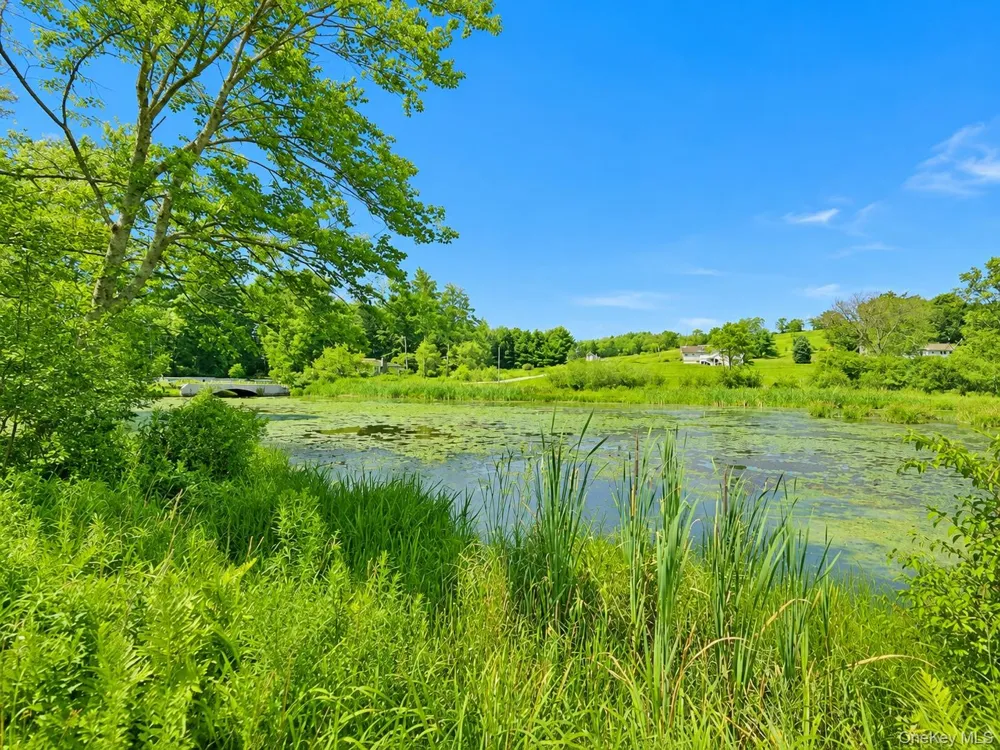 601 Briscoe Road Swan Lake, NY 12783