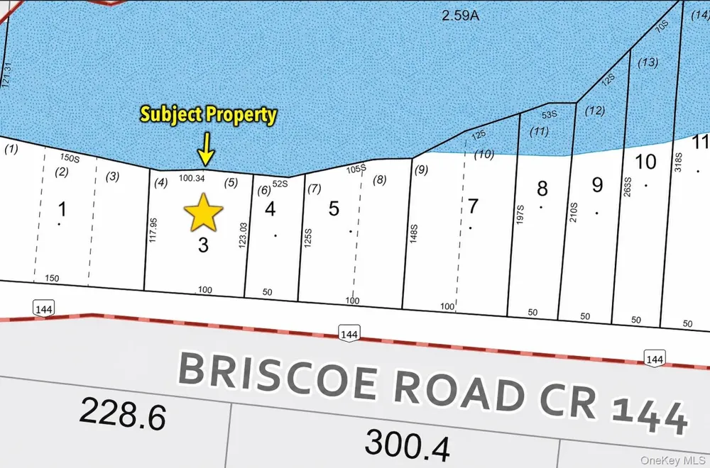 601 Briscoe Road Swan Lake, NY 12783