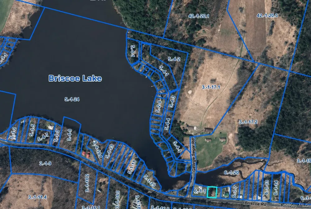 601 Briscoe Road Swan Lake, NY 12783