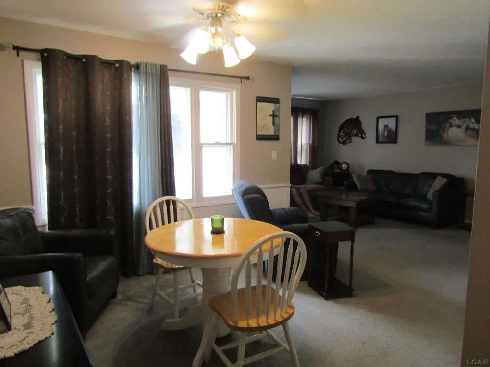 1109 Jane Street Tecumseh City, MI 49286