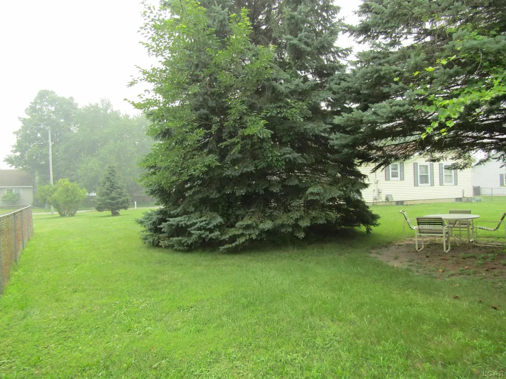 1109 Jane Street Tecumseh City, MI 49286
