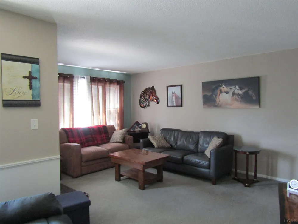1109 Jane Street Tecumseh City, MI 49286