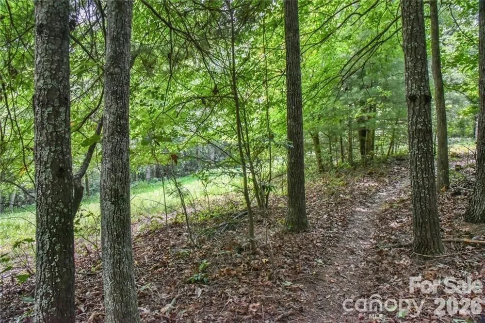 19 Laurel Loop Road Fairview, NC 28730