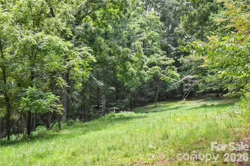19 Laurel Loop Road Fairview, NC 28730