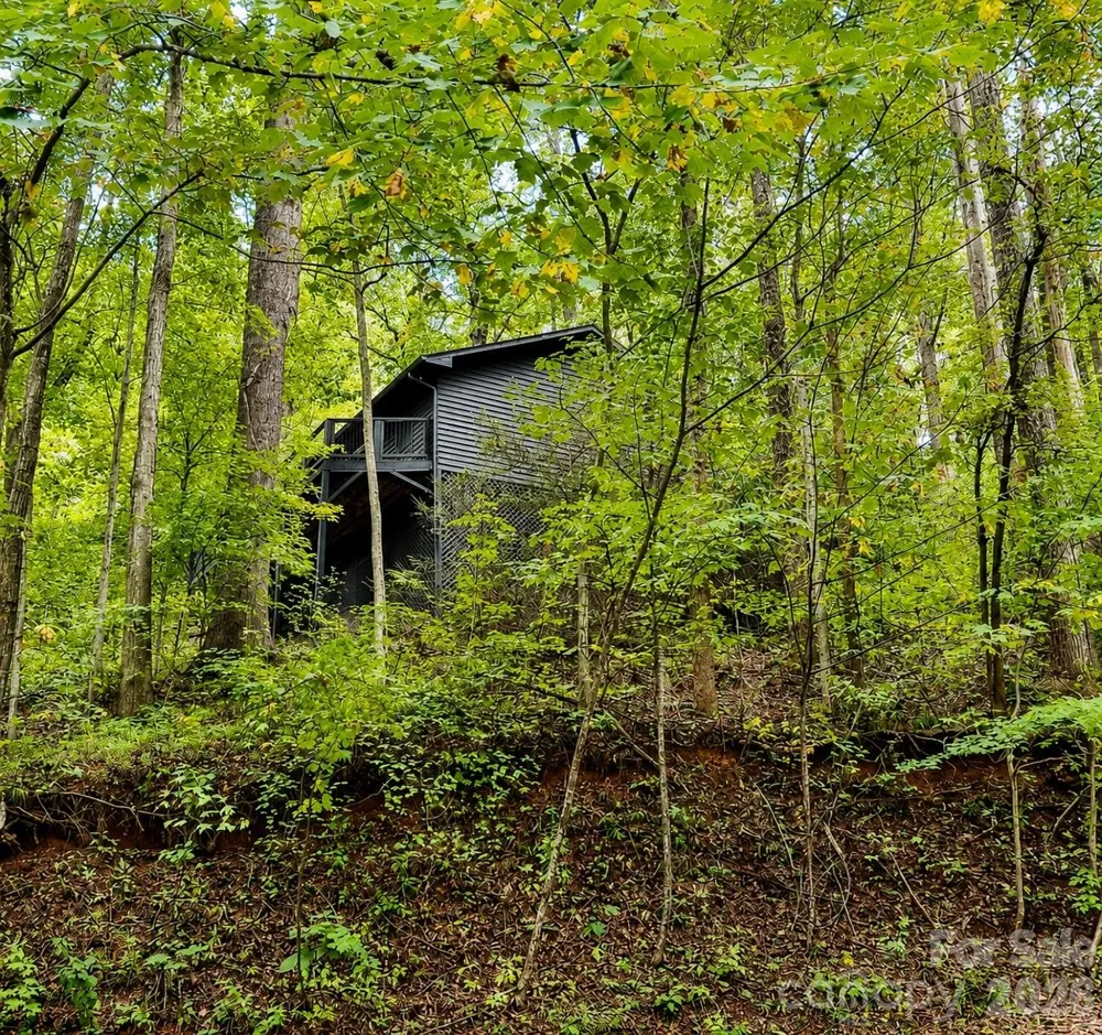721 Bear Creek Lane Saluda, NC 28773