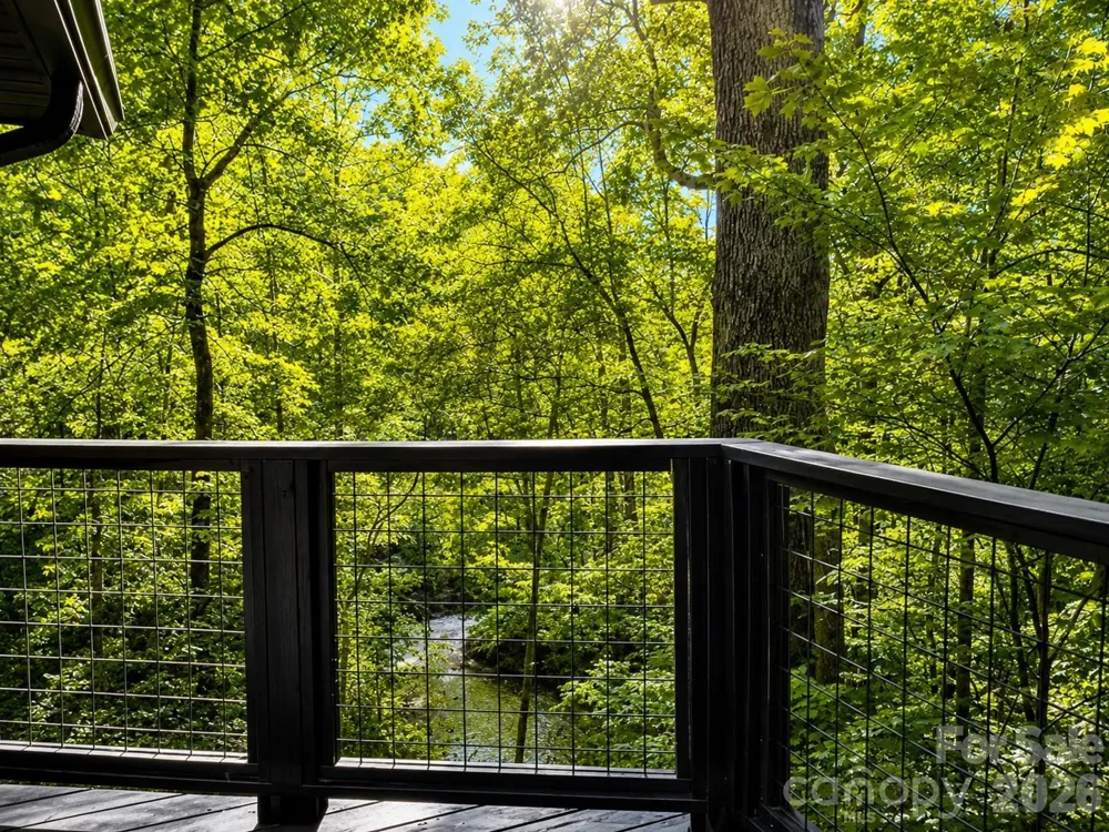 721 Bear Creek Lane Saluda, NC 28773