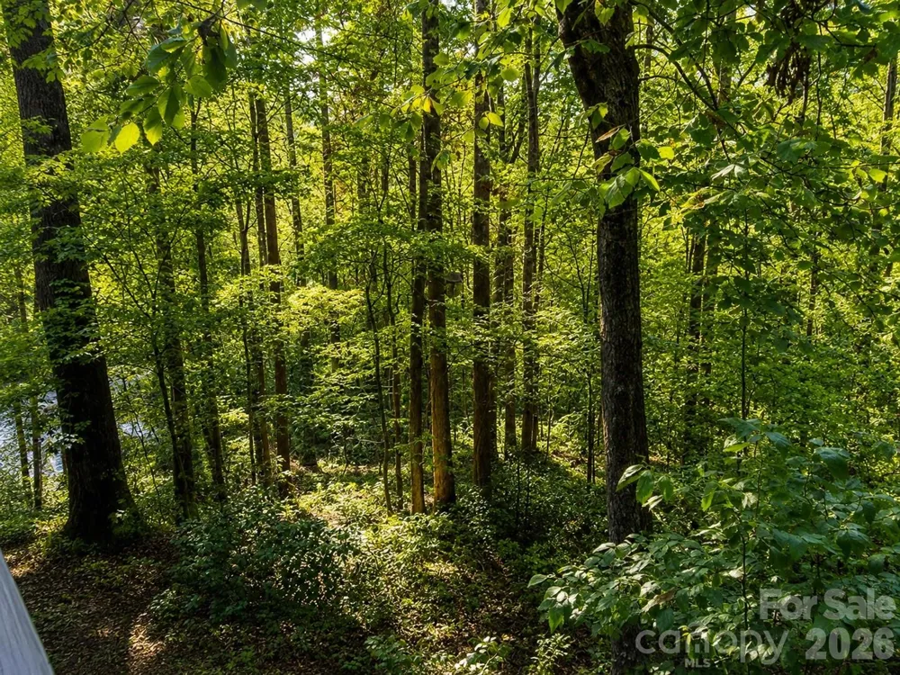 721 Bear Creek Lane Saluda, NC 28773