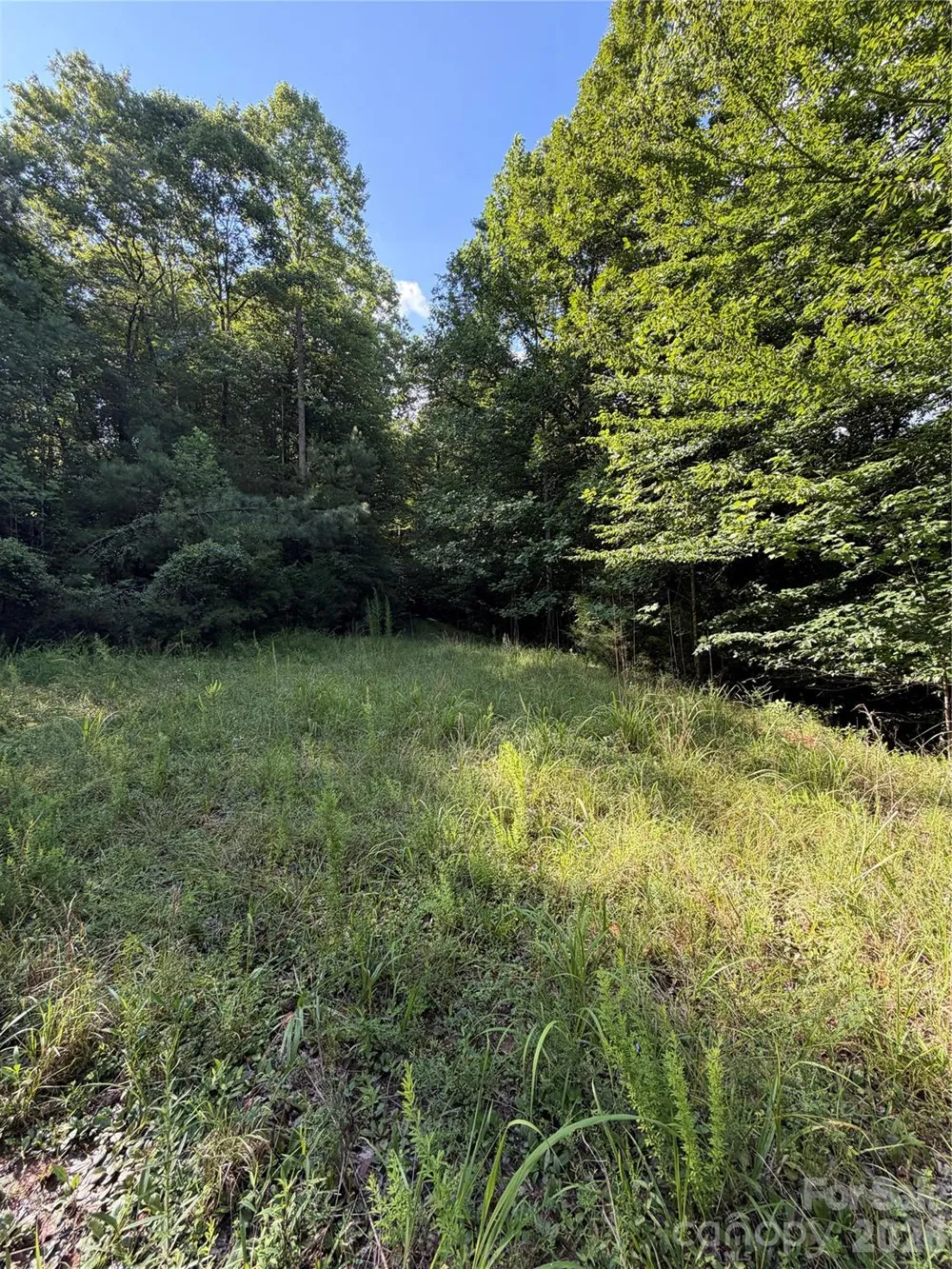 0 Greenhill Farms Drive #15 Rutherfordton, NC 28139