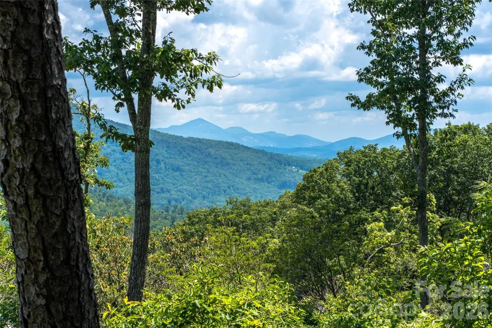 99999 E Garden Trail #46 Fletcher, NC 28732