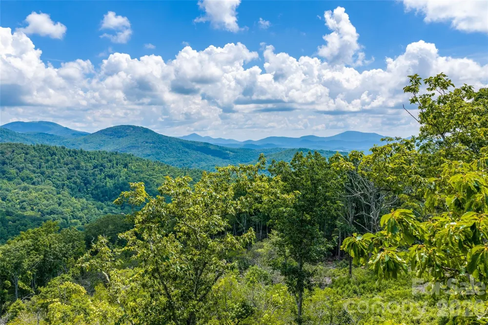99999 E Garden Trail #46 Fletcher, NC 28732