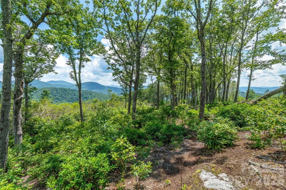 99999 E Garden Trail #46 Fletcher, NC 28732