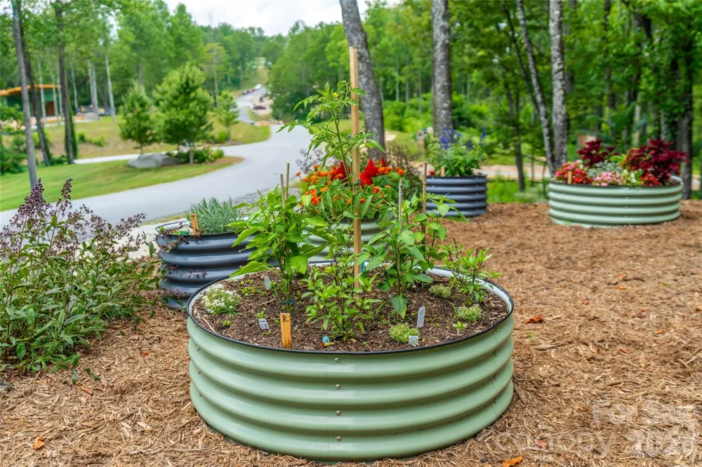 99999 E Garden Trail #46 Fletcher, NC 28732