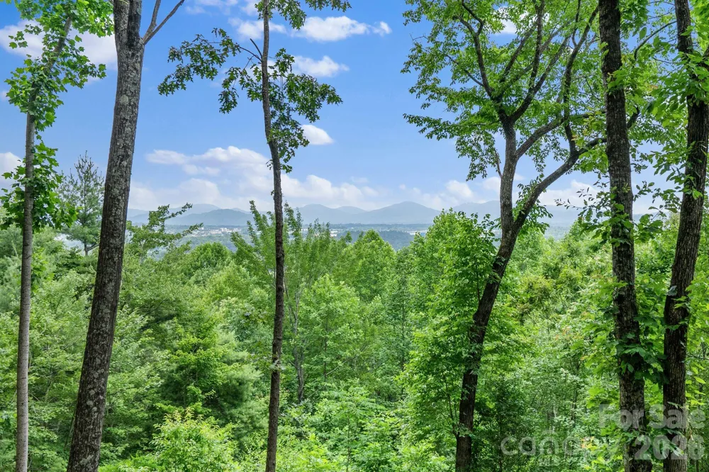 120 Split Rock Trail Arden, NC 28704