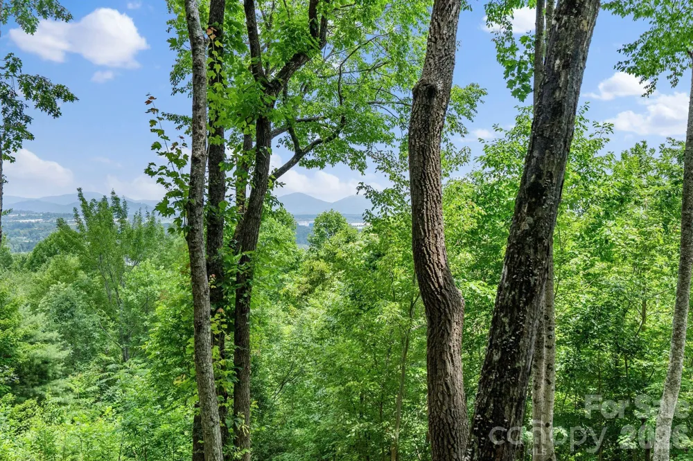 120 Split Rock Trail Arden, NC 28704