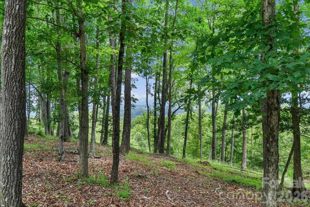 120 Split Rock Trail Arden, NC 28704