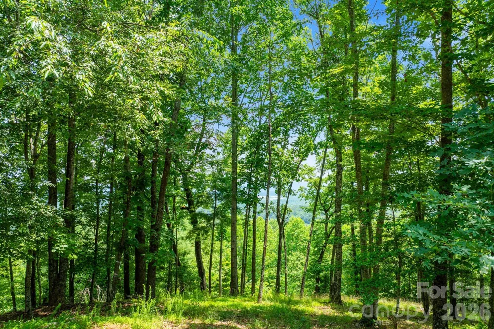 120 Split Rock Trail Arden, NC 28704