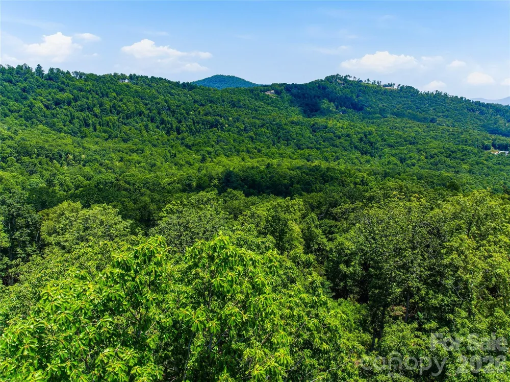58 Mountain Grove Lane Fletcher, NC 28732