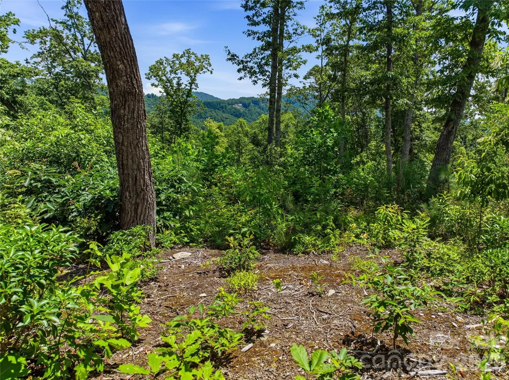 58 Mountain Grove Lane Fletcher, NC 28732