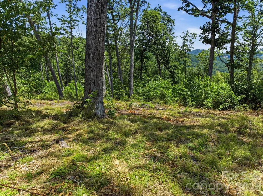 58 Mountain Grove Lane Fletcher, NC 28732