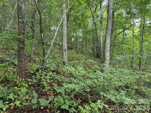 TBD Meadow Fork Road Hot Springs, NC 28743