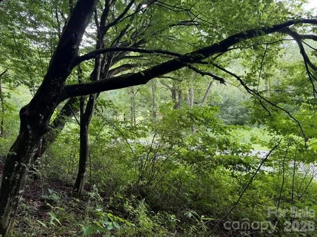 TBD Meadow Fork Road Hot Springs, NC 28743