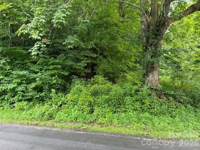 TBD Meadow Fork Road Hot Springs, NC 28743