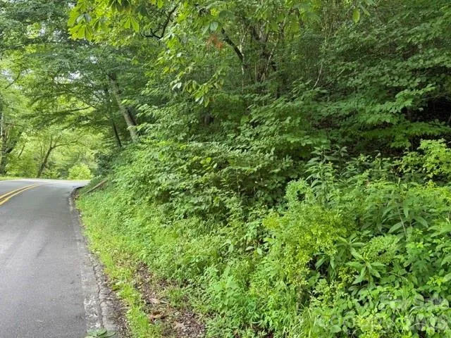TBD Meadow Fork Road Hot Springs, NC 28743