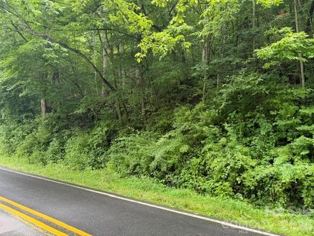 TBD Meadow Fork Road Hot Springs, NC 28743