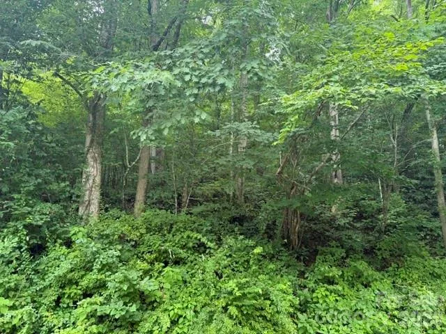 TBD Meadow Fork Road Hot Springs, NC 28743