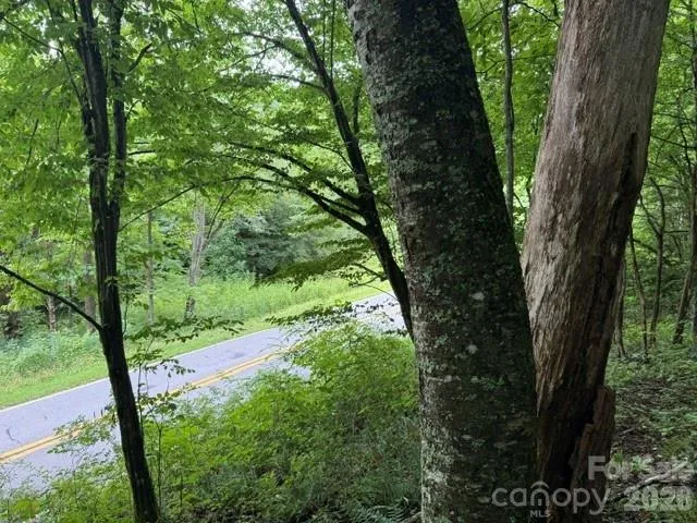 TBD Meadow Fork Road Hot Springs, NC 28743