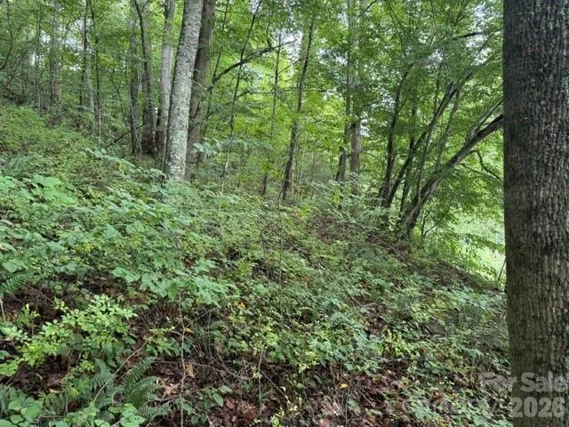 TBD Meadow Fork Road Hot Springs, NC 28743