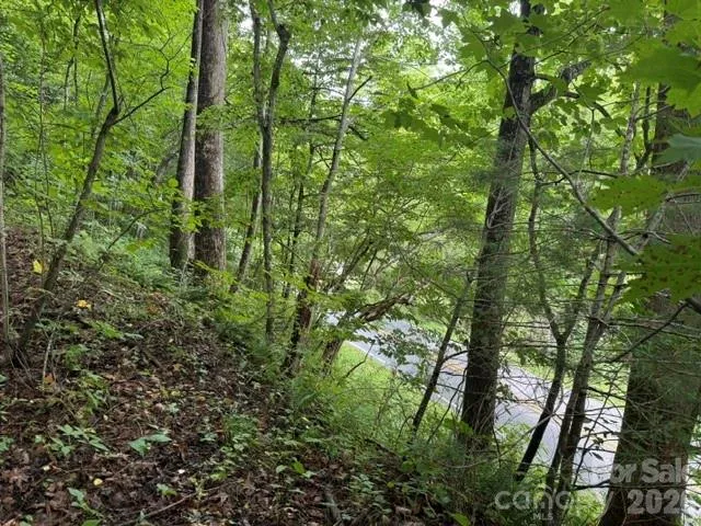 TBD Meadow Fork Road Hot Springs, NC 28743