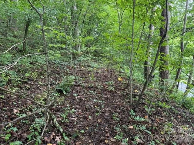 TBD Meadow Fork Road Hot Springs, NC 28743