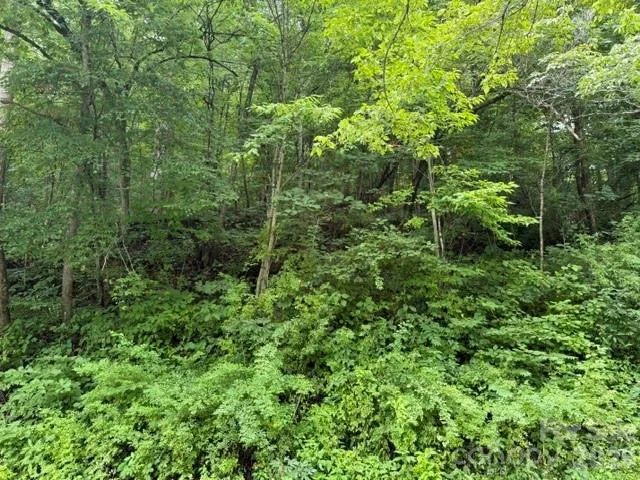 TBD Meadow Fork Road Hot Springs, NC 28743